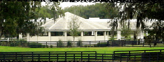 Farm 6249 NW 118th St. Rd. Reddick, FL 32686-4613: Image 3